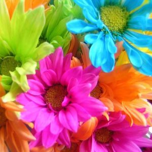 Meet your Posher, Terry